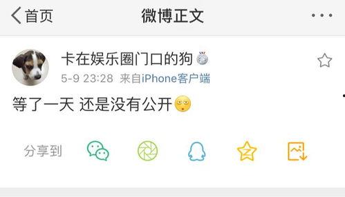 火爆吃瓜爆料图片大全,火爆吃瓜爆料图片大全，揭秘娱乐圈幕后真相