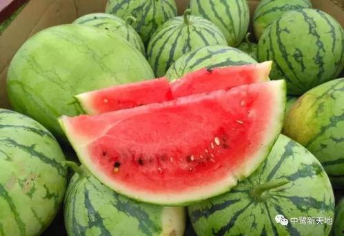 今日吃瓜门,揭秘娱乐圈背后的惊人真相