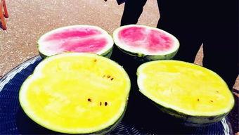 629吃瓜爆料网红,揭秘网红629吃瓜爆料背后的真相与争议